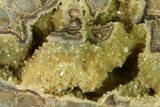 Yellow Crystal Filled Septarian Geode - Utah #157073-1